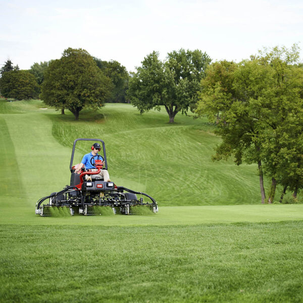 Toro Reelmaster 3550-D - Bild 2
