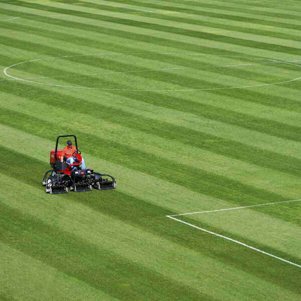 Toro Reelmaster 3550-D - Bild 3