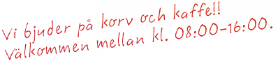 Skärmavbild 2018-01-04 kl. 13.05.50