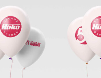 Hako 50 år