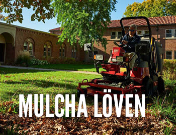 Mulcha löv